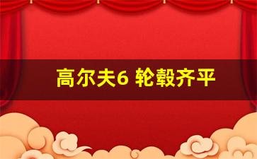 高尔夫6 轮毂齐平